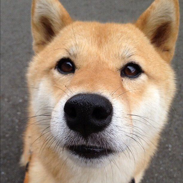 开云体育下载官网-_快船状态稳健，迎战强敌士气高昂_，快船稳了