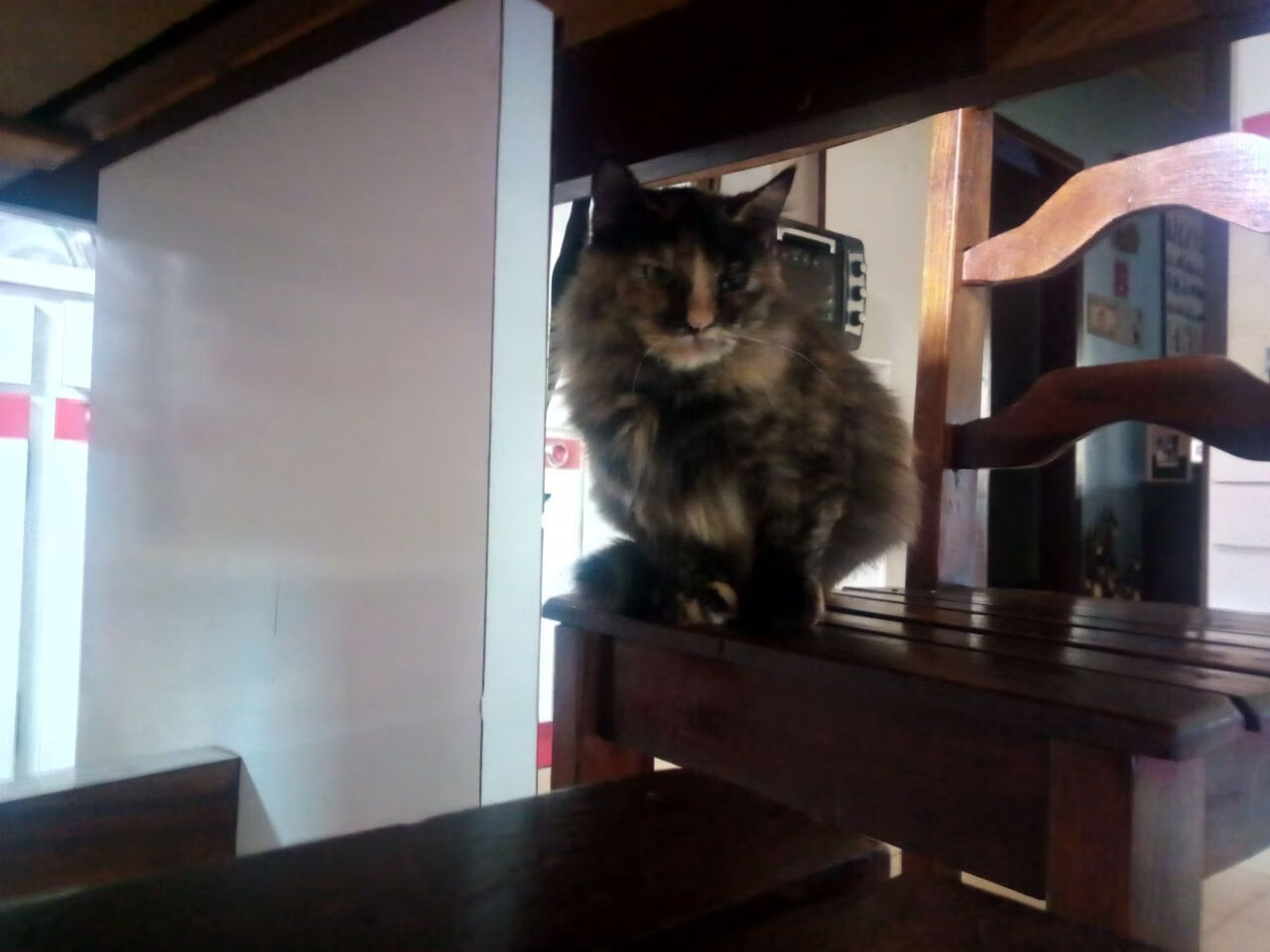 kaiyun sports app-_网球运动如何融入校园课外活动_,网球进校园的合作方案