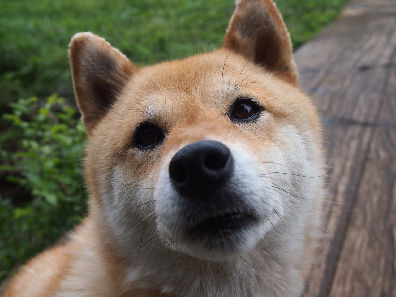 开云体育官方app-“英超大战一触即发,胜局之变引发广泛关注”,英超比赛集锦