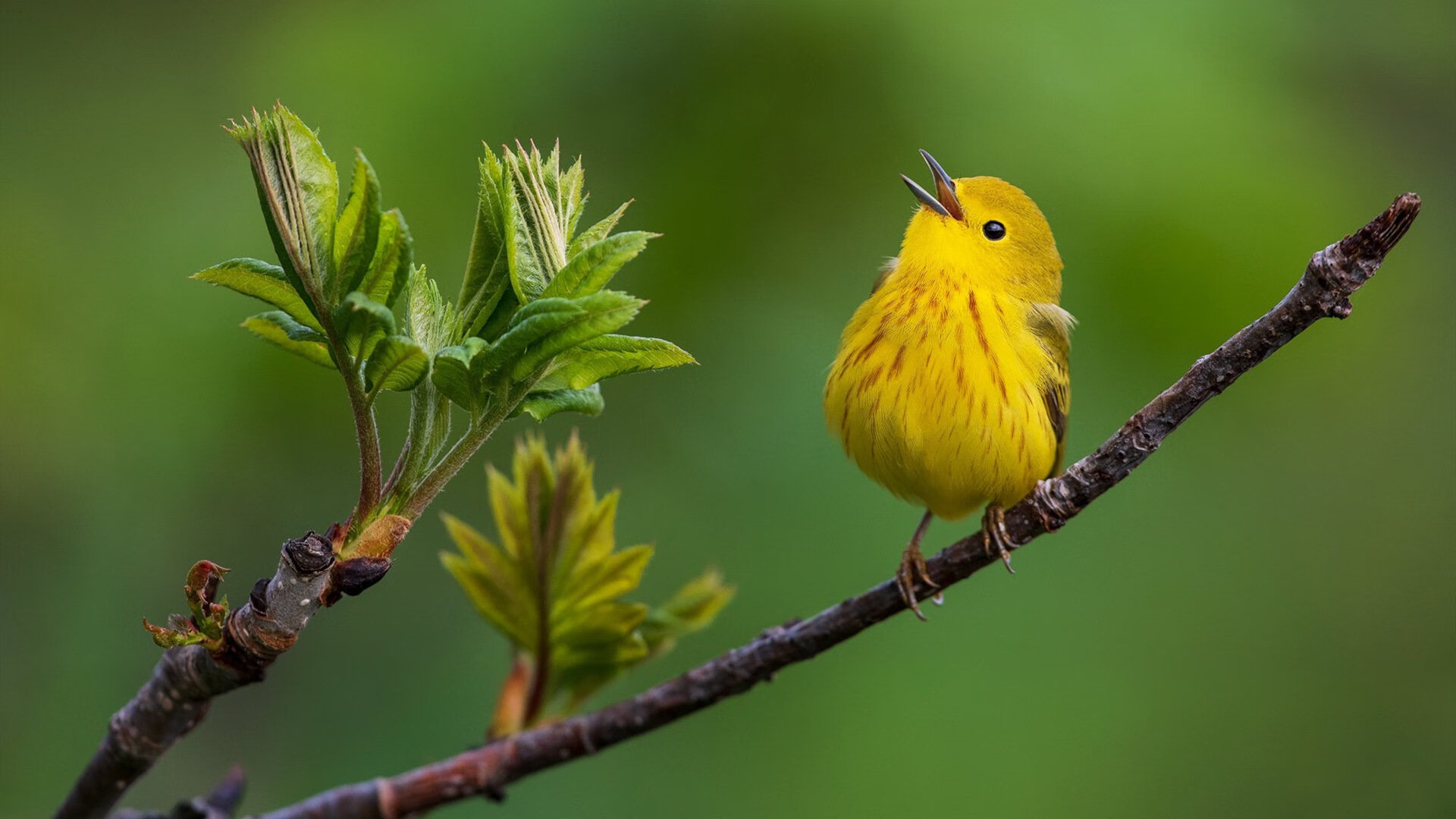 开云体育app安全下载-中国足球产业基金投入持续增加,为俱乐部发展助力,中国足协基金会