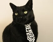 开云体育APP-广州德比再次上演申花胜出，广州德比集锦