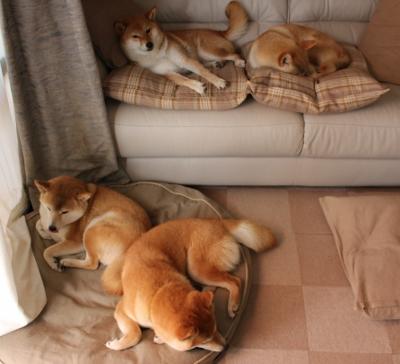 开云体育APP-库里的“水花兄弟”——勇士夺冠的绝佳组合！，库里水花特效宣传片