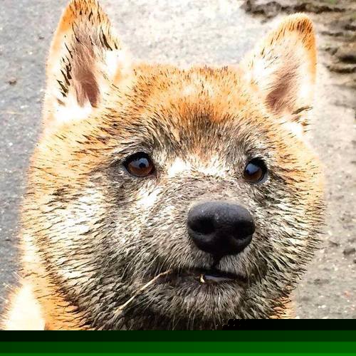 开云体育平台APP-未来联盟:虚拟实境+B站直播,开启全新观赛体验!,未来联盟门面