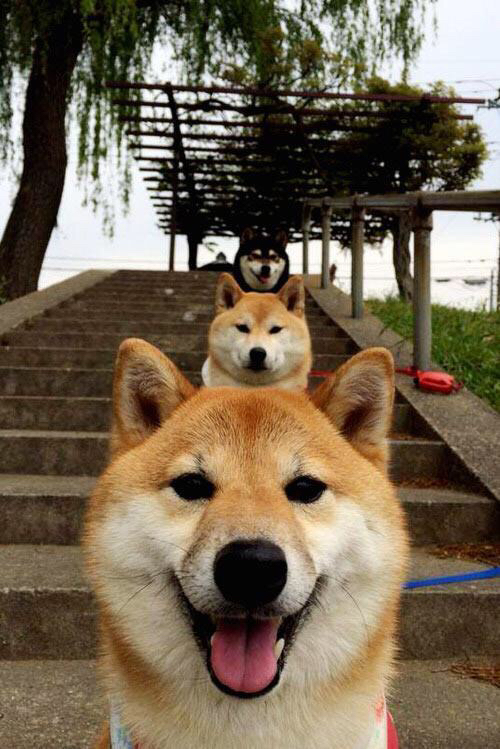 开云体育官方网站-特色青训“双引擎”打造行业新动能,产业链逐渐完备,建立国内顶级青训体系