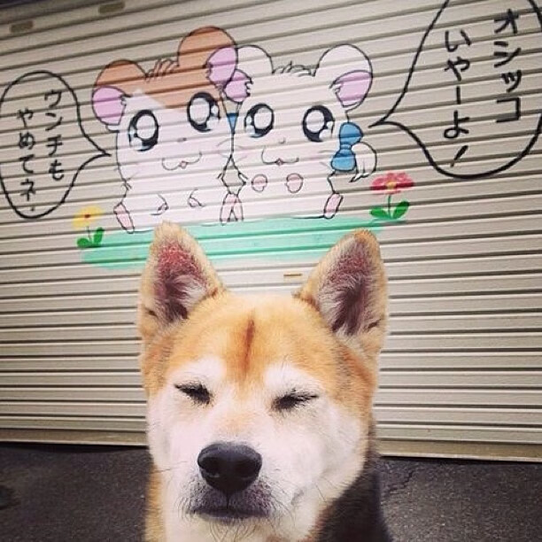 开云体育APP下载-英超“天王”赛季表现抢眼，持续领跑射手榜，2021-2022英超射手榜