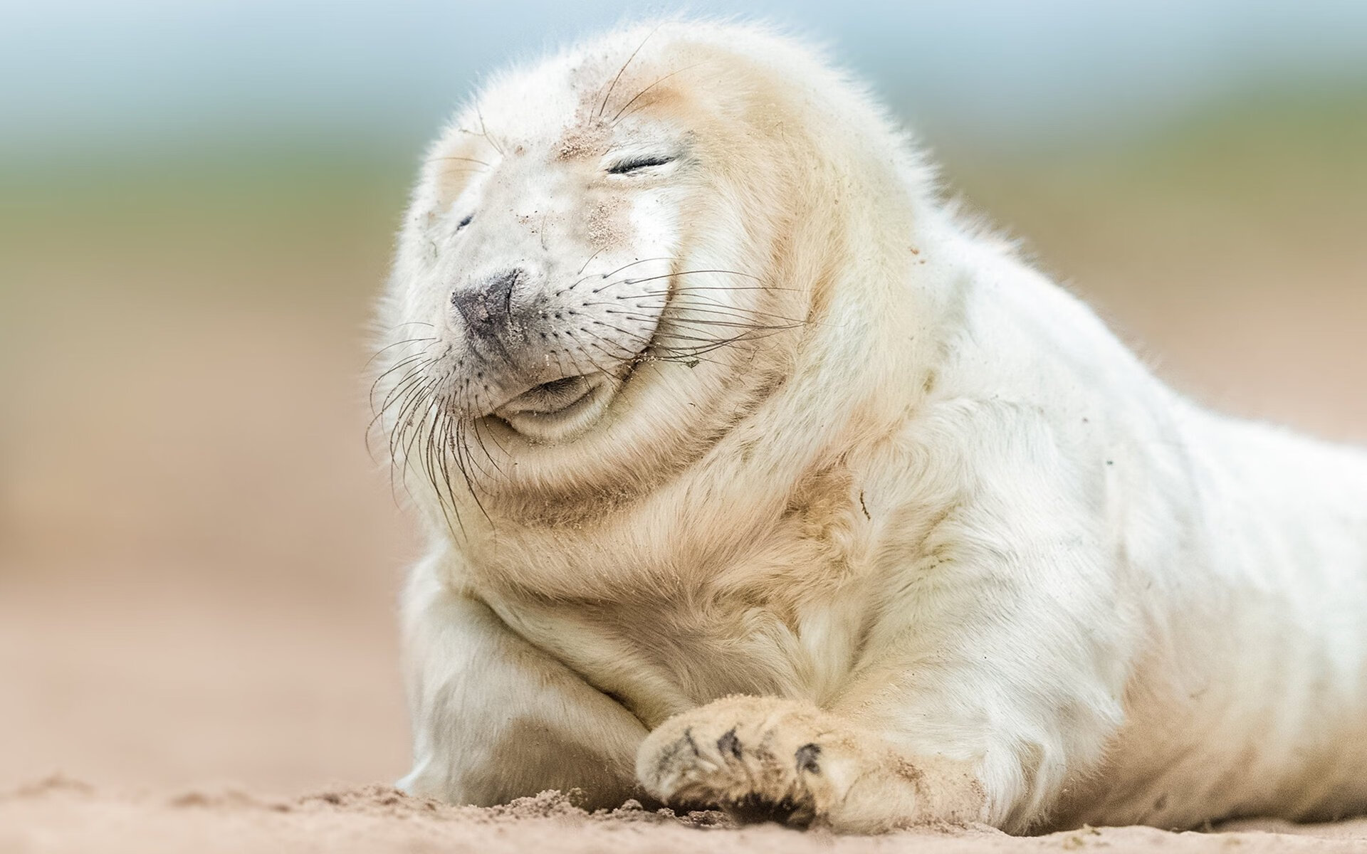 开云体育APP-EDG战队明星选手动态追踪，edg战队位置