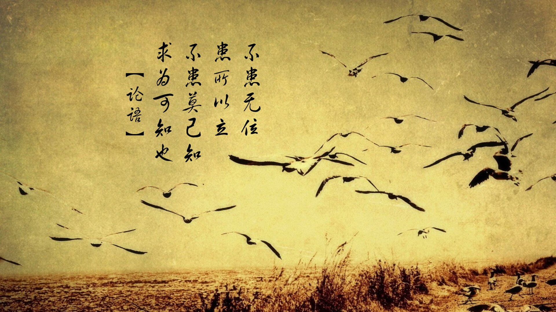 开云官方-意大利足球联赛球员入选国家队备战国际赛，意大利国家足球队完整比赛视频