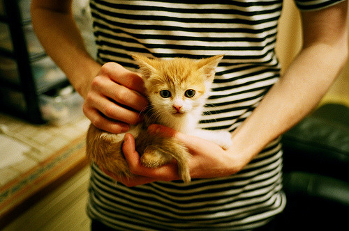 开云-莱斯特城与阿森纳激战,展现竞争力,莱斯特城对战阿森纳