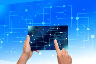 -中国篮球青训体系教练员能力评估与发展规划，篮球教练员素养