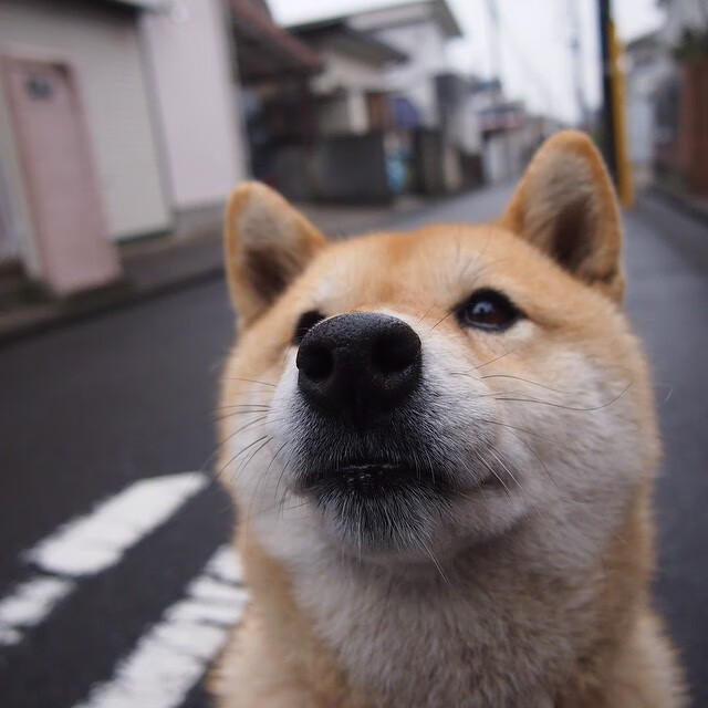 开云体育下载网址-中国青少年篮球运动员灵活性训练研究,青少年篮球运动员体能训练的研究