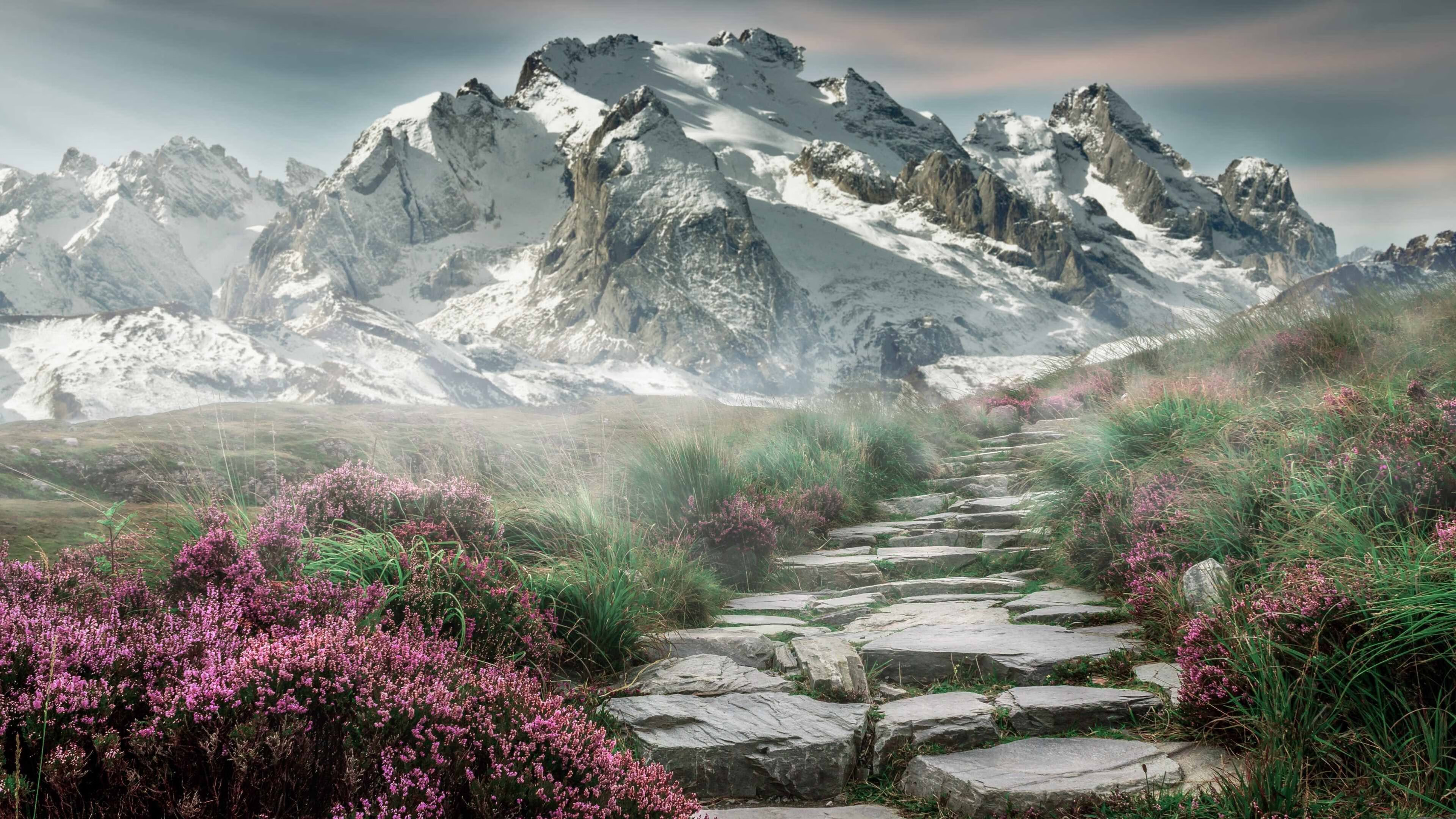 开云体育APP下载-中国香港队的未来突破:技术革新与全球乒乓竞争的对接,香港队乒乓球比赛